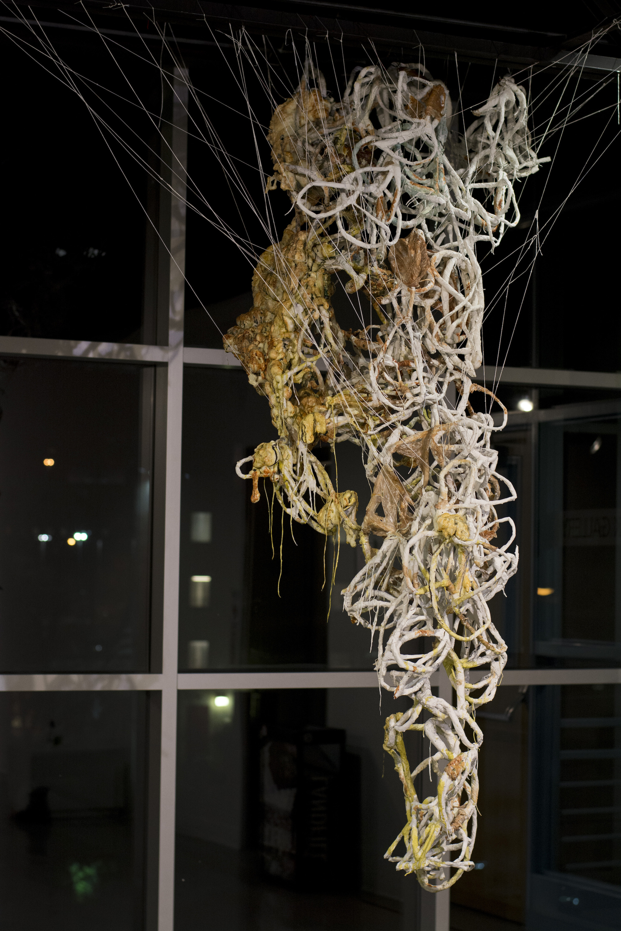 Host, 2016